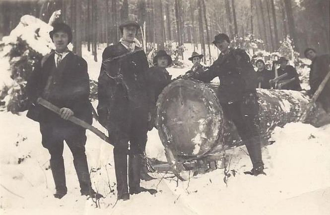 Bild Nr. 3 - Waldarbeiter aus Neu Josefsthal vor der Rundholzabfuhr