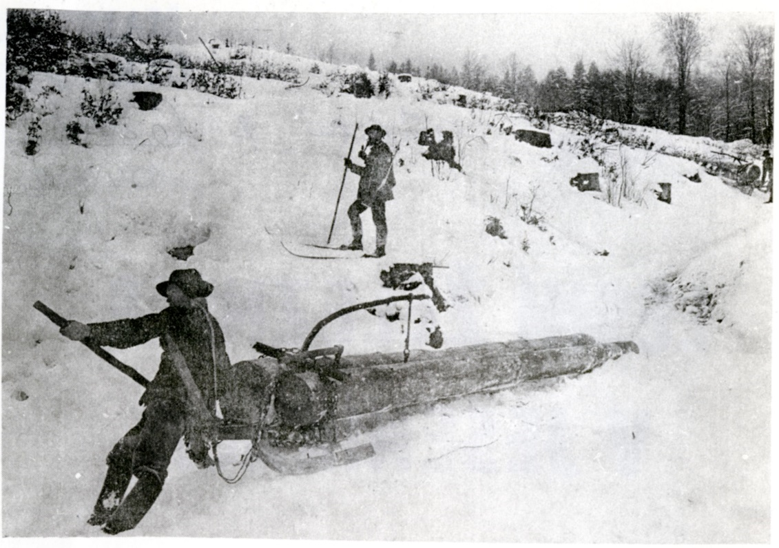 Bild Nr. 1) Holzschlittenfahrt in der Umgebung von Goldenstein/Branna um das Jahr 1900