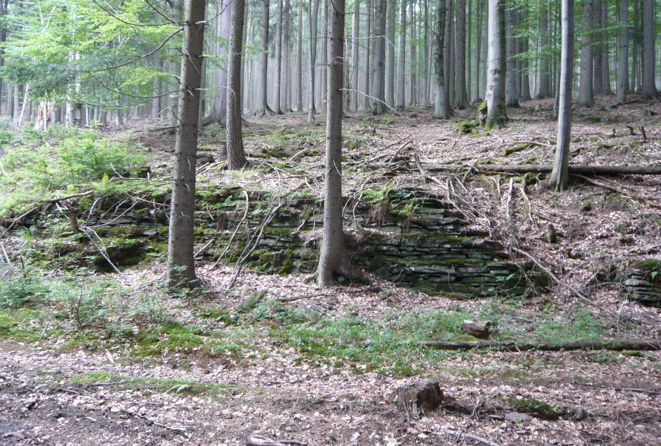 Bild Nr. 11) Der obere Teil des Bremsbergs heute – die Stelle, wo sich die Bremswinde befand