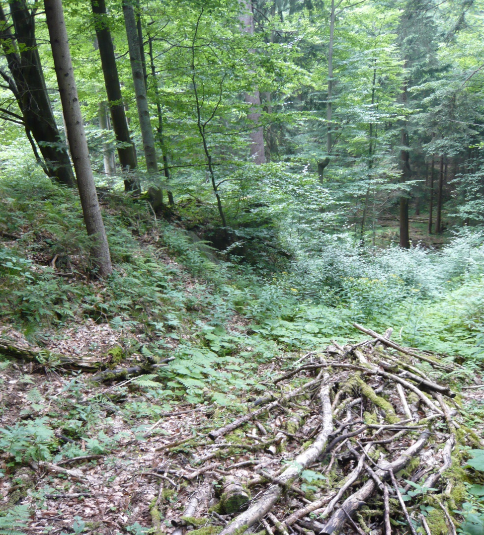 Bild Nr. 12) Das untere Drittel des ehemaligen Bremsbergs heute