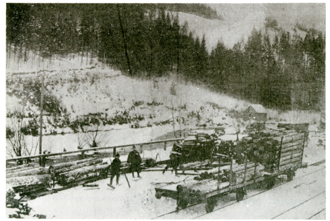 Bild Nr. 5) Umschlagplatz Franzensthal im Jahre 1900, Umschlag des Holzes von den Waldeisenbahnwagen auf die Waggons der Normalspurbahn