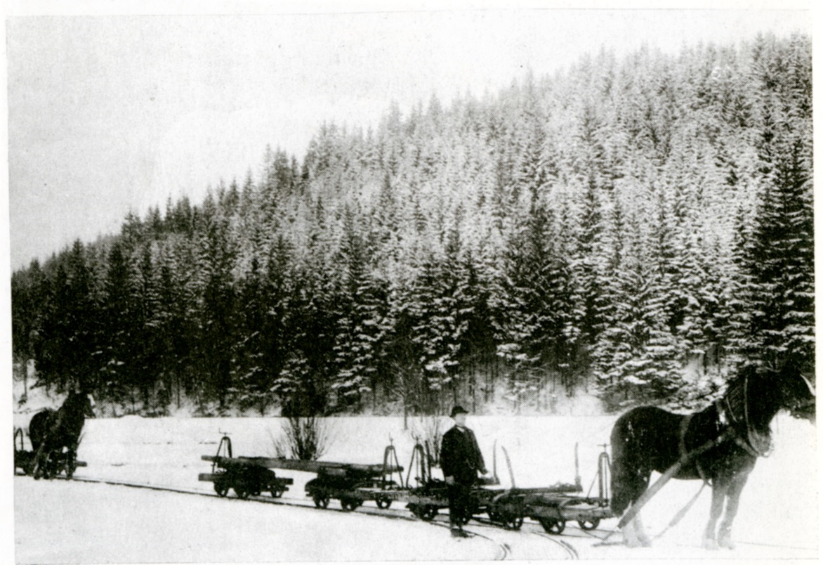 Bild Nr. 6) Beförderung der leeren Waldeisenbahnwagen von Franzenthal aus nach Neu Josefsthal auf der Abzweigung Buchäckermühle im Jahre 1900. Die abgebildete Garnitur zweier Wagen zusammengestellt aus den Fahrgestellen des Dolberg-Systems. Der erste Wagen diente zur Beförderung von Rundholz in Drehschemel, der zweite zur Beförderung von Kleinholz 80 cm lang.